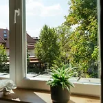 Lemon Elegant Old Town